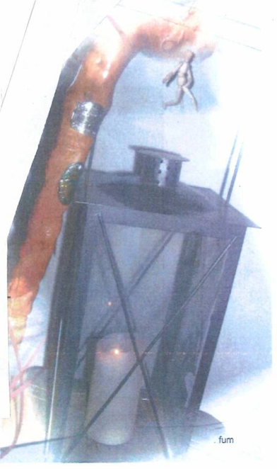 Das Bild einer tragbaren Laterne.