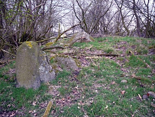 Großsteingrab