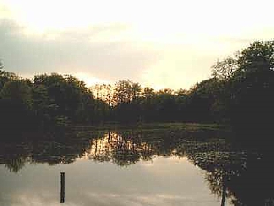 romantische Stille